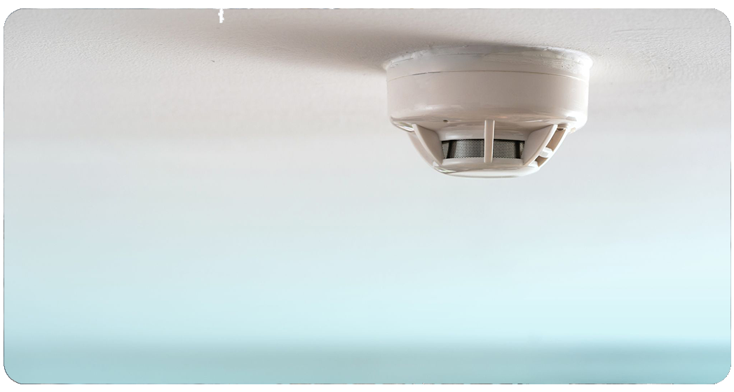 Anchor Electric technician performing electrical inspection in Sarasota